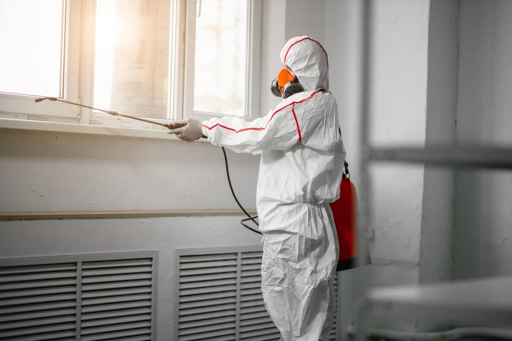 Professional mold remediation services in Franklin, NJ